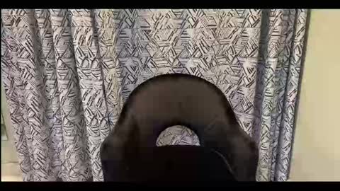 Snapshot of creamonmycakes chatting on 12, 9, 2025 CreamOnMyCakes online show from 12, 9, 2025