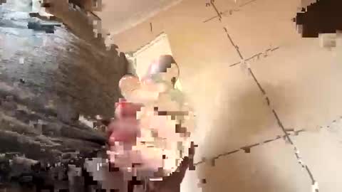 Snapshot of creature272 chatting on 11, 4, 2026 creature272 online show from 11, 4, 2026