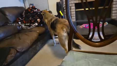 The hopeless romantic online show from 27, 9, 2025