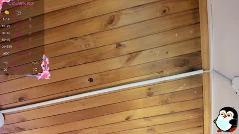 Snapshot of cristal__hot_1 chatting on 29, 10, 2025 Cristal online show from 29, 10, 2025