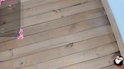 Cristal online show from 9, 1, 2026