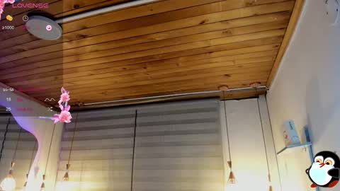 Cristal online show from 3, 2, 2026