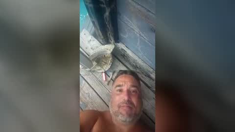 crxbob25192572 online show from 26, 7, 2026