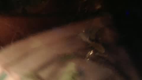 Snapshot of cryan78 chatting on 2, 2, 2025 cryan96 online show from 2, 2, 2025