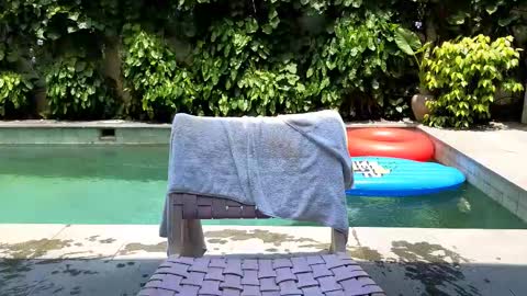 Snapshot of cryptongood chatting on 25, 2, 2025 Lin inst lingoodyy online show from 25, 2, 2025