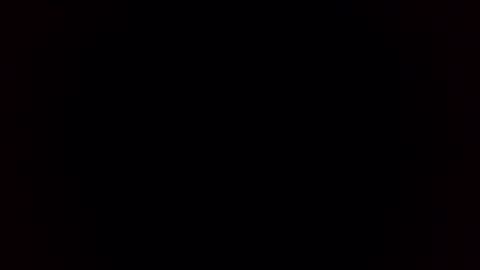 Breeding Bull USA online show from 3, 2, 2026