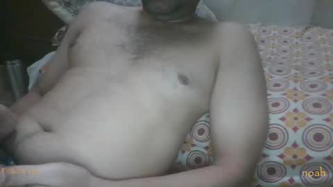 Noha online show from 15, 4, 2026