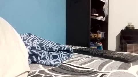 cumbian_chero online show from 23, 2, 2026