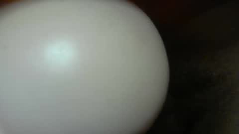 cumdr619 online show from 8, 1, 2026