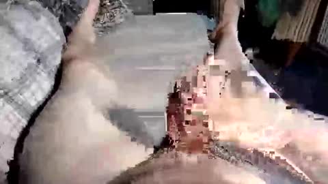 Snapshot of cuminher1975 chatting on 10, 10, 2025 Paul online show from 10, 10, 2025