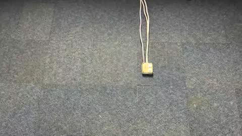 Brian online show from 3, 12, 2025