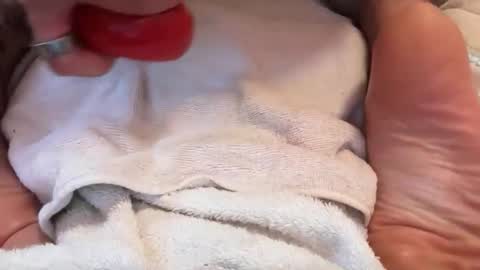 cummyummyy online show from 13, 3, 2026