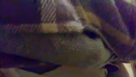 Snapshot of cumnridewa chatting on 17, 6, 2026 cumtowa online show from 17, 6, 2026