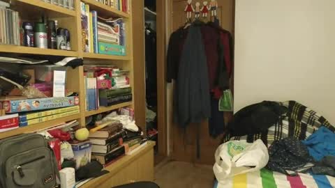 curiosillo1983 online show from 19, 4, 2026