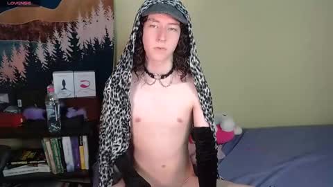 Noah online show from 19, 12, 2024