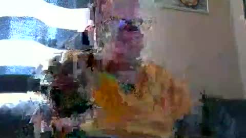 curtus14 online show from 26, 10, 2025