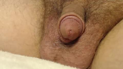 curve66 online show from 22, 10, 2025