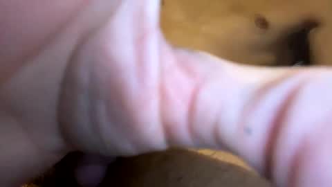 curvy24777 online show from 19, 1, 2025