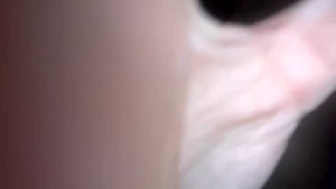 curvy24777 online show from 1, 2, 2025