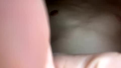 curvy24777 online show from 23, 2, 2025