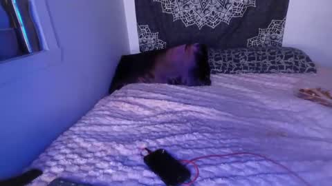 Cline  online show from 2, 3, 2025