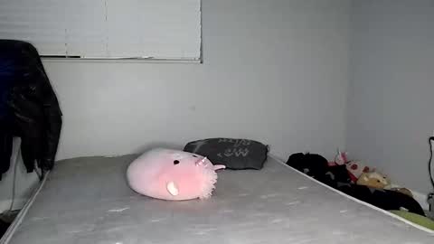 Lucifina ganja kittens online show from 20, 12, 2024