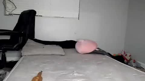 Lucifina ganja kittens online show from 30, 12, 2024