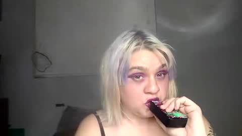 Lucifina ganja kittens online show from 15, 2, 2025