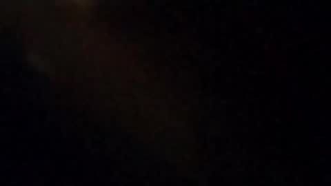 Lucifina ganja kittens online show from 26, 9, 2025