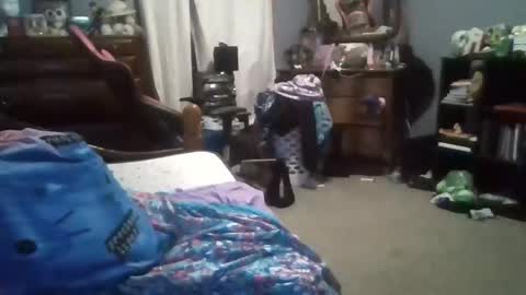 dahlia -kim online show from 24, 12, 2024