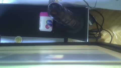 lynn online show from 21, 9, 2025