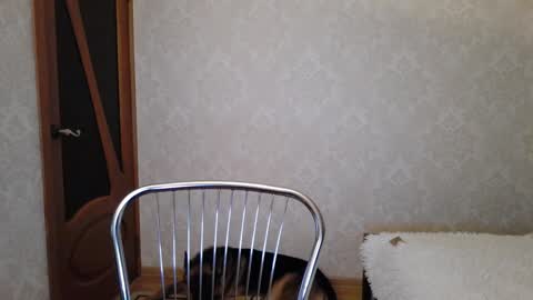 Snapshot of cute_strawberry_ chatting on 9, 12, 2024 cute_strawberry_ online show from 9, 12, 2024