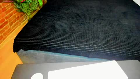 Tory online show from 18, 4, 2026