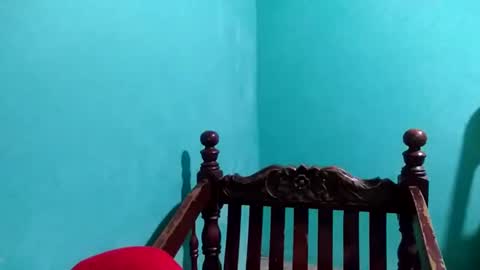 Snapshot of cutechey06 chatting on 4, 1, 2025 Sky online show from 4, 1, 2025