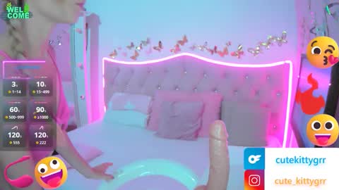 Kitty online show from 18, 2, 2026