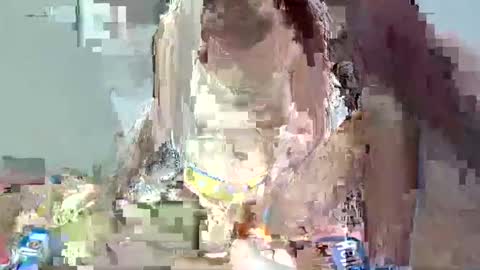 bella online show from 1, 2, 2025