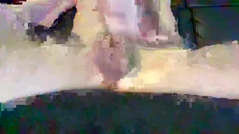 cwaddle online show from 16, 2, 2025