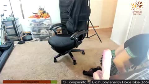 Cynpai online show from 17, 11, 2025