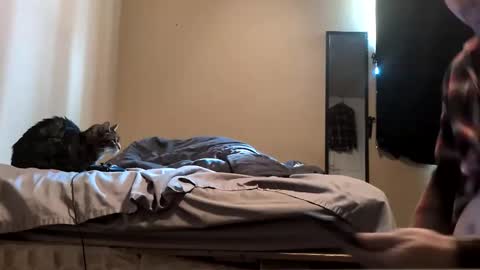 da_man411212 online show from 19, 2, 2026