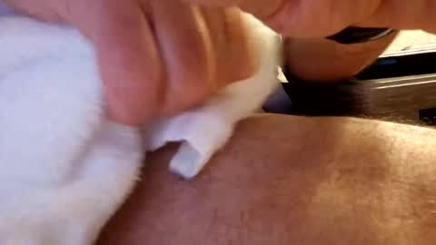 daaavy11 online show from 19, 2, 2026