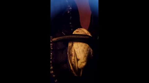 Daddett iS Wett online show from 17, 3, 2026