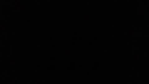 Ray Stevens Jr online show from 23, 12, 2024