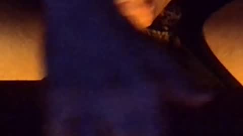 daddypervbuttprincess online show from 26, 6, 2026