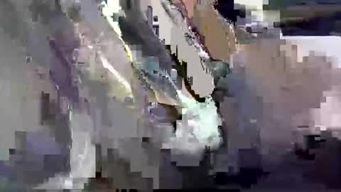 GIANT  Lamar  72 ft  tall  with a  10 inches  BBC   hard quick cumshot in private show lets go online show from 26, 3, 2026