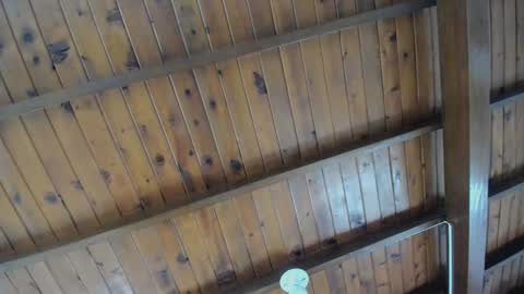 dafne_hillss online show from 27, 9, 2025