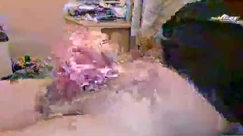 dafo1980 online show from 23, 4, 2026