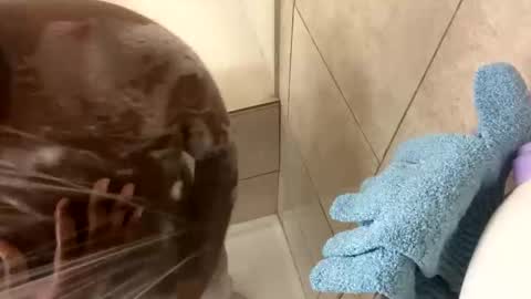 dafoxxx876 online show from 24, 11, 2025