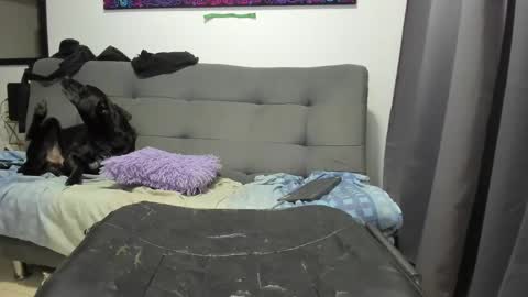 dahianna_27 online show from 17, 1, 2025