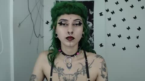 Snapshot of dakota_krall_ chatting on 11, 12, 2024 dakota online show from 11, 12, 2024