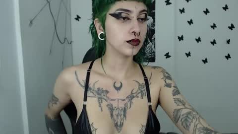 Snapshot of dakota_krall_ chatting on 15, 12, 2024 dakota online show from 15, 12, 2024